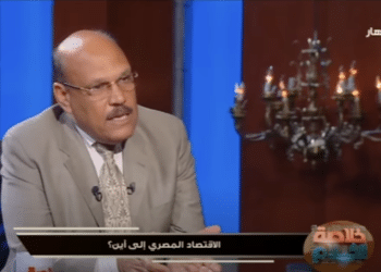 الخبير الاقتصادي حسن الصادي - المصدر: قناة النهار